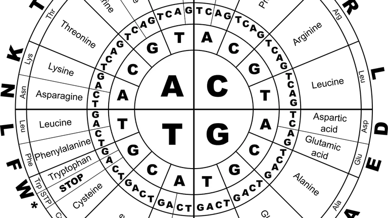 Scopri il mistero del Codice Tributo 6013: a cosa si riferisce?
